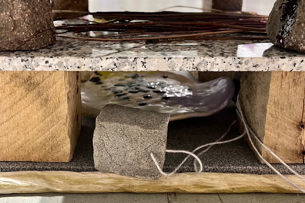 Say - Sweet, Silence — View 13 — Jay Lee