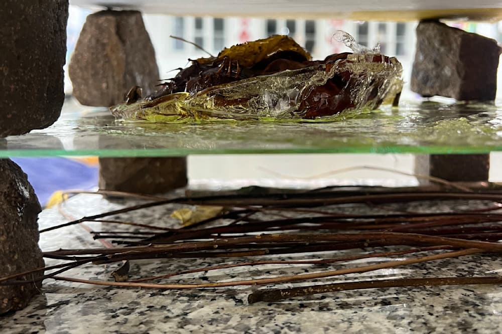 Say - Sweet, Silence — View 12 — Jay Lee