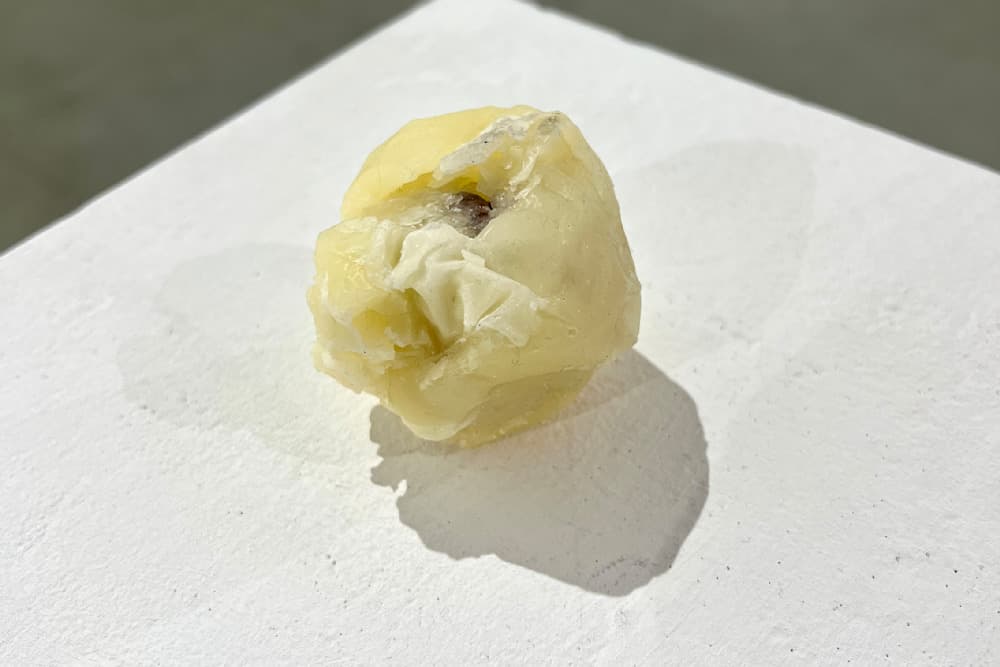 Say - Sweet, Silence — View 21 — Jay Lee