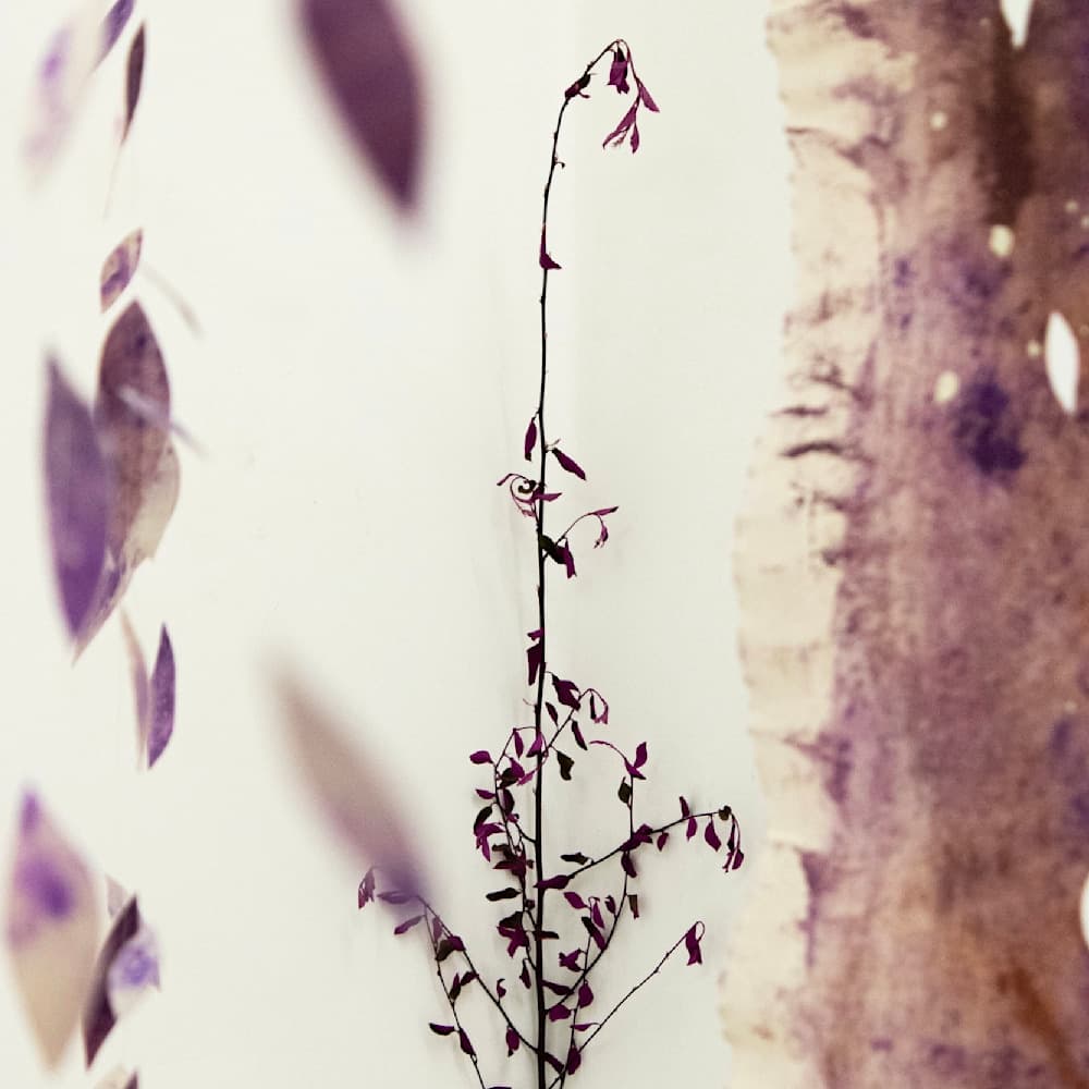 Dreams — View 22 — Jay Lee