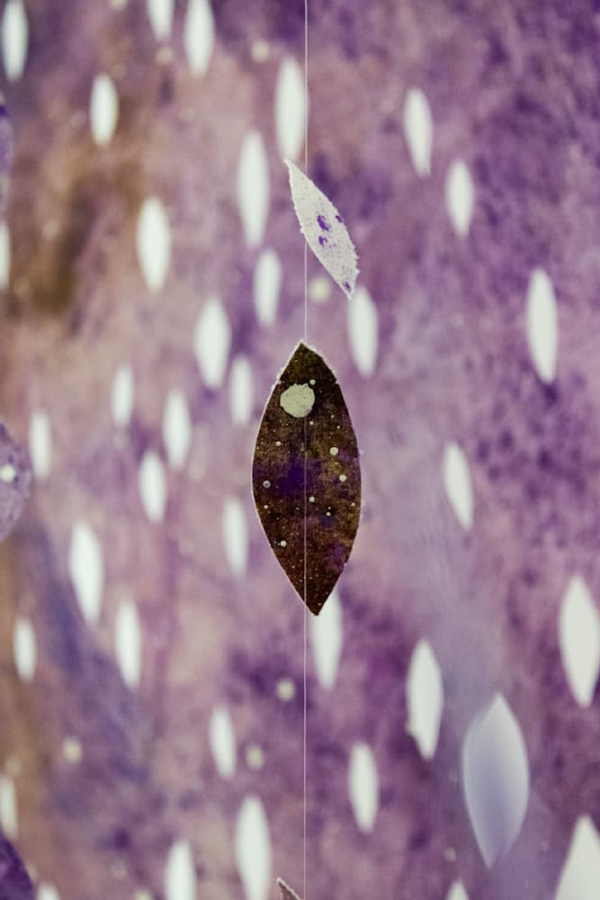 Dreams — View 21 — Jay Lee