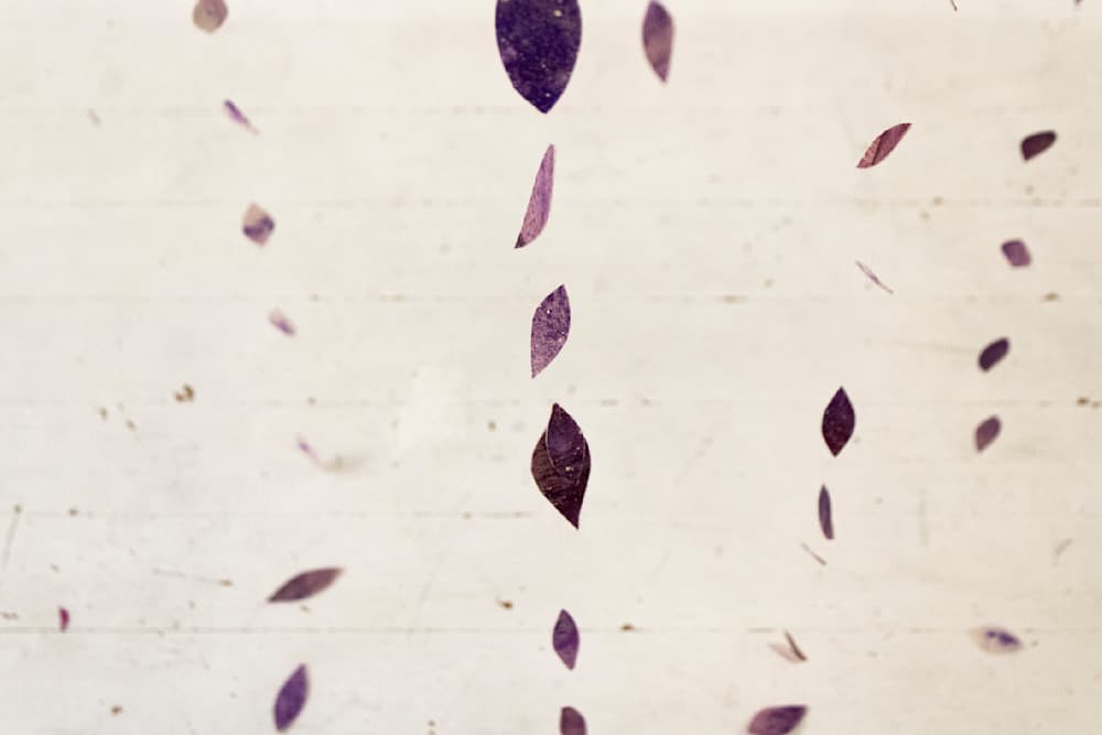 Dreams — View 18 — Jay Lee