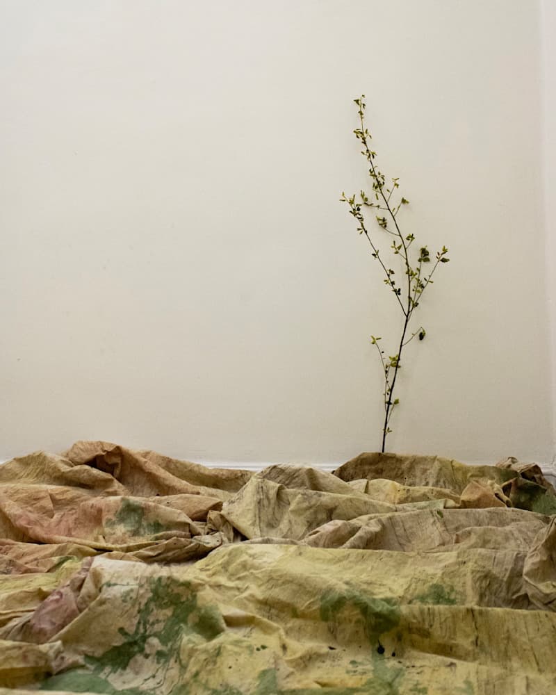 Dreams — View 7 — Jay Lee