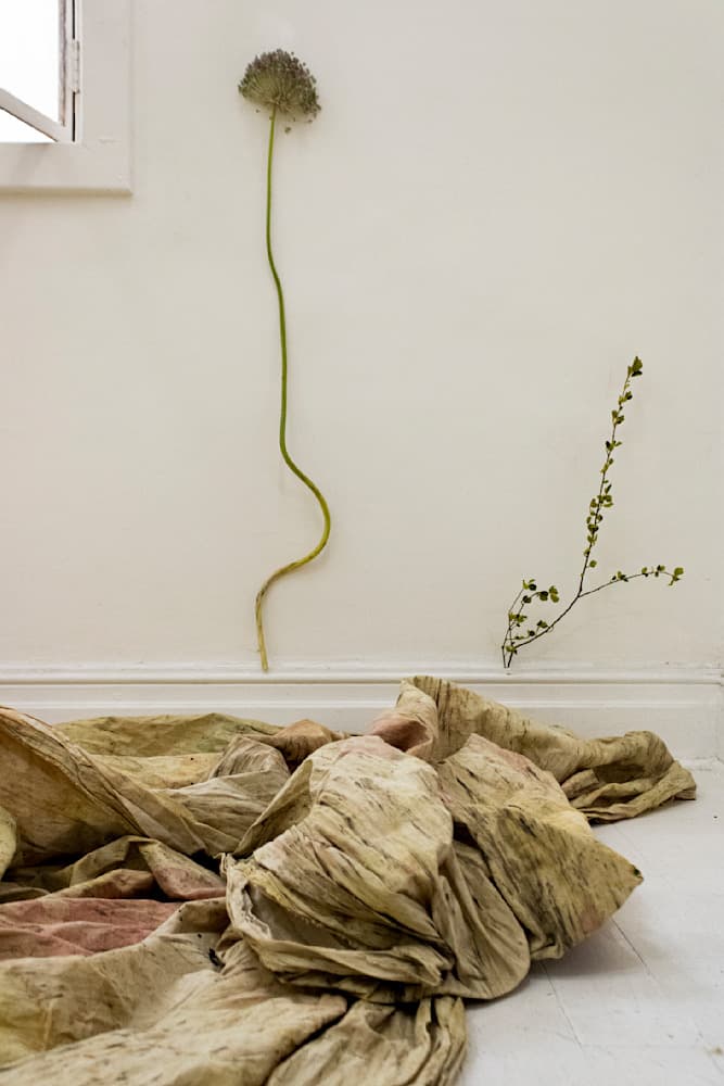 Dreams — View 6 — Jay Lee