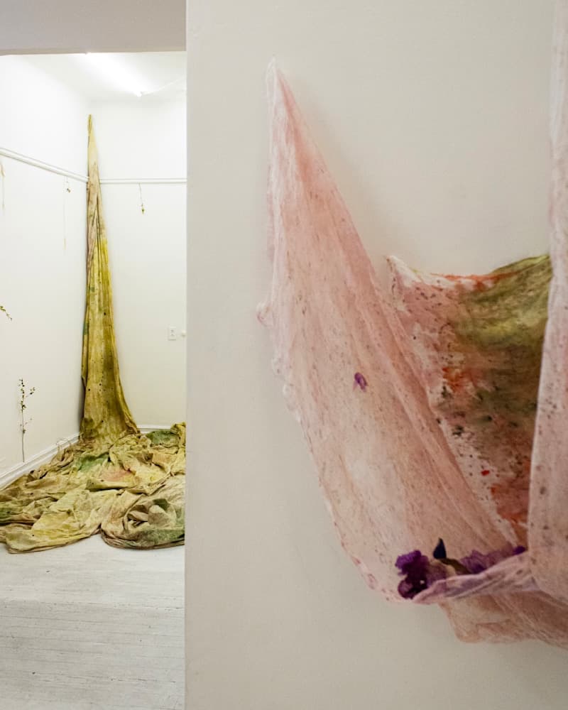 Dreams — View 2 — Jay Lee