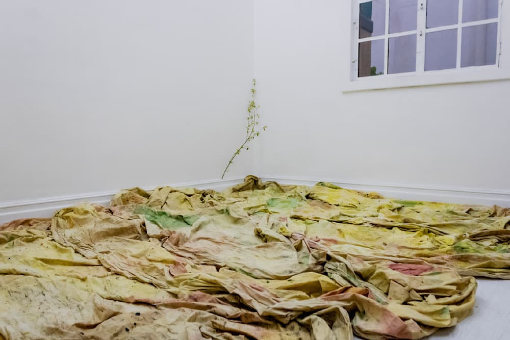 Dreams — View 5 — Jay Lee