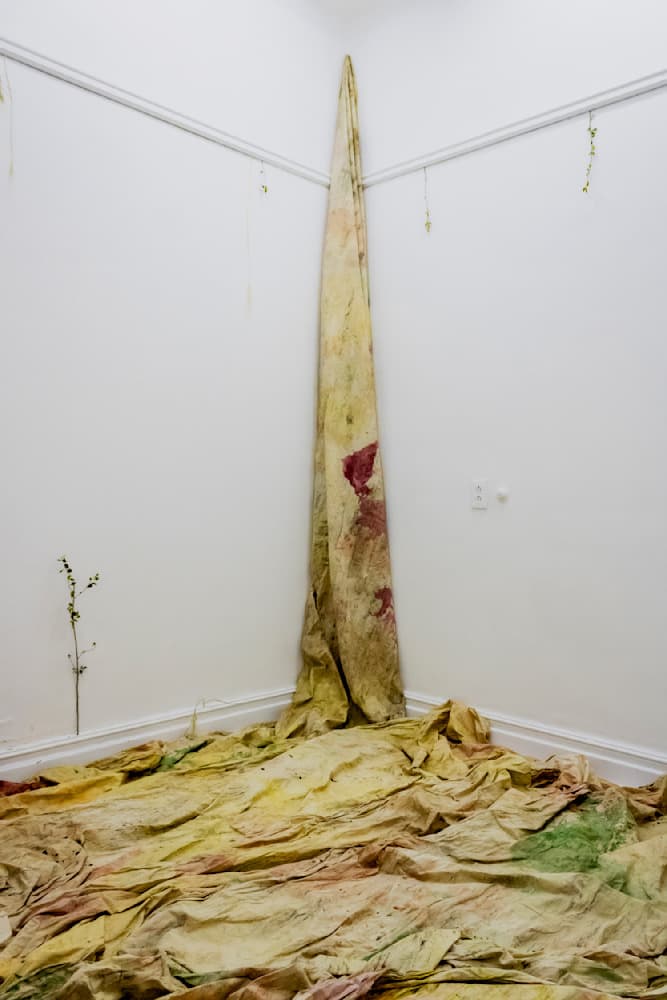 Dreams — View 4 — Jay Lee