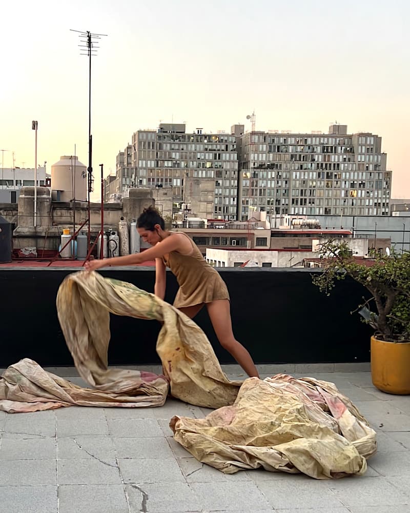 Dreams — View 50 — Jay Lee