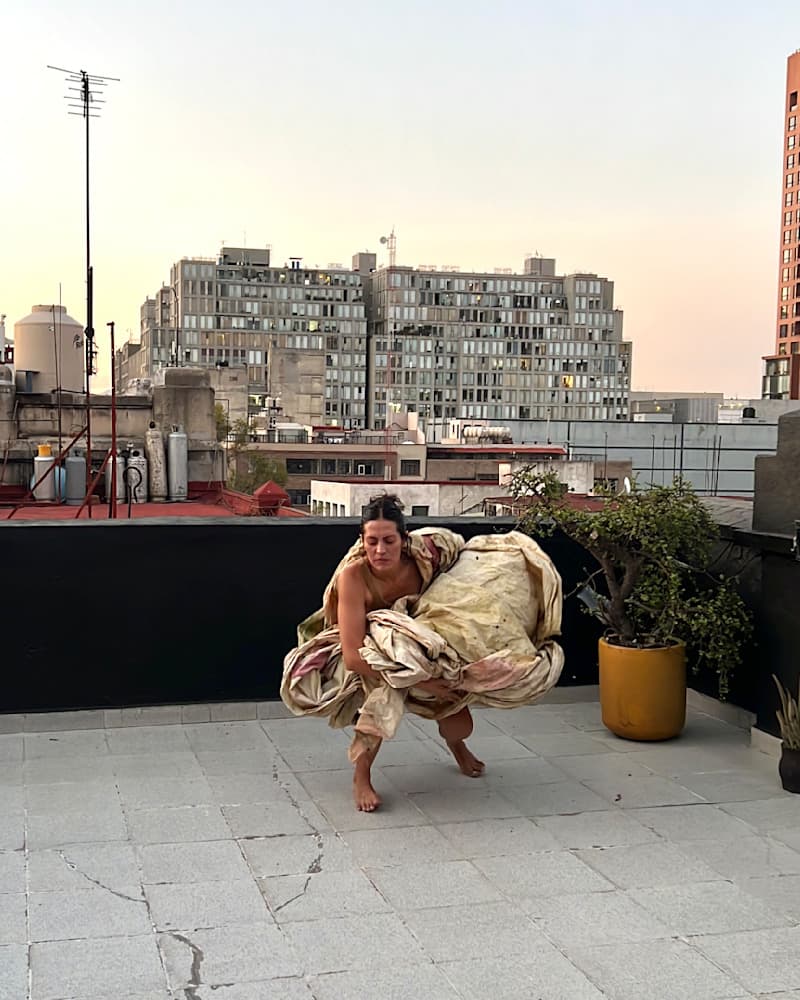 Dreams — View 51 — Jay Lee