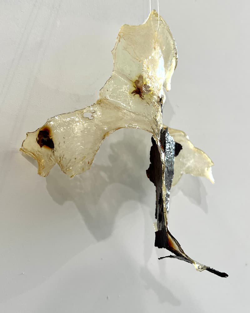 Open Studio — June — View 9 — Jay Lee