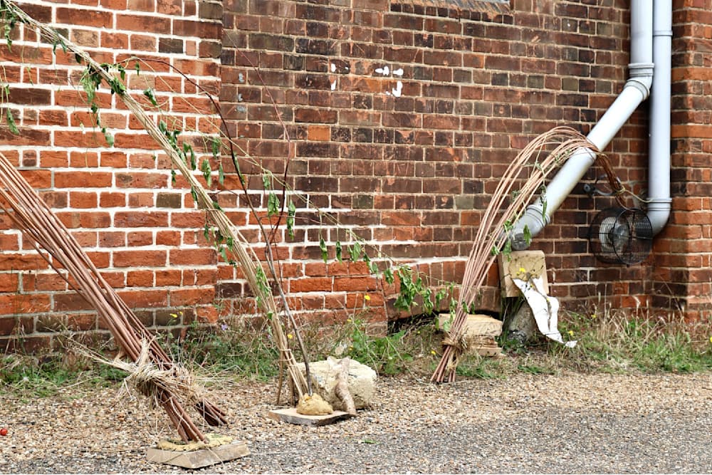 The Summer Project — View 4 — Jay Lee