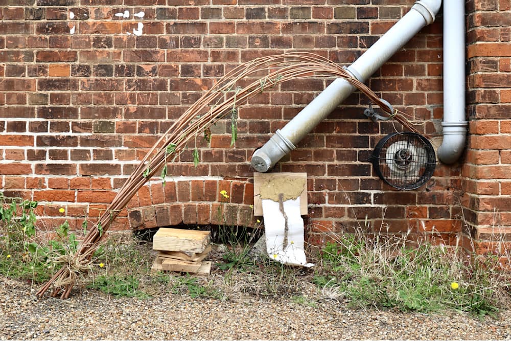 The Summer Project — View 6 — Jay Lee