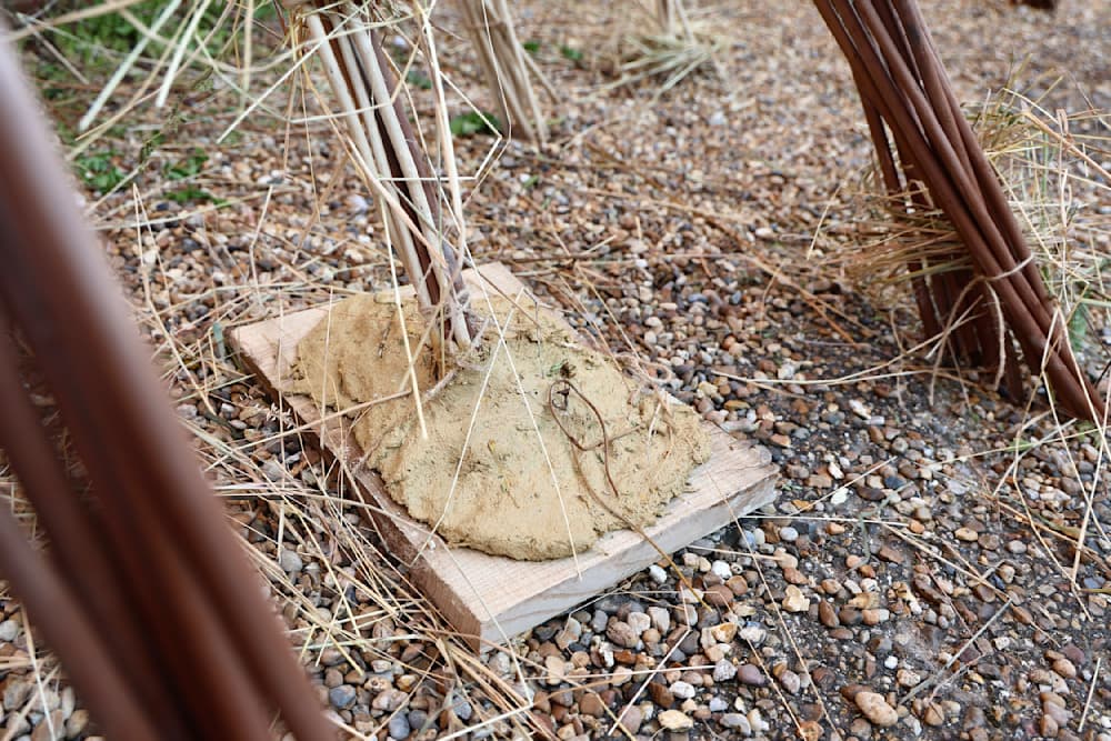 The Summer Project — View 14 — Jay Lee