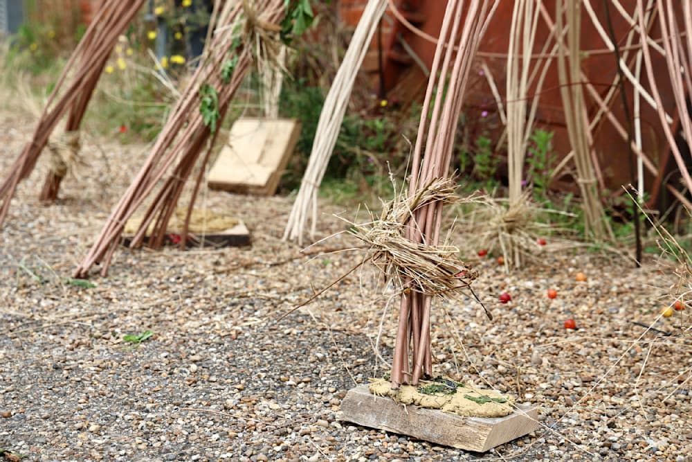 The Summer Project — View 13 — Jay Lee