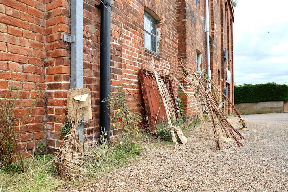 The Summer Project — View 3 — Jay Lee