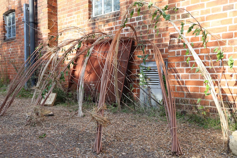 The Summer Project — View 2 — Jay Lee