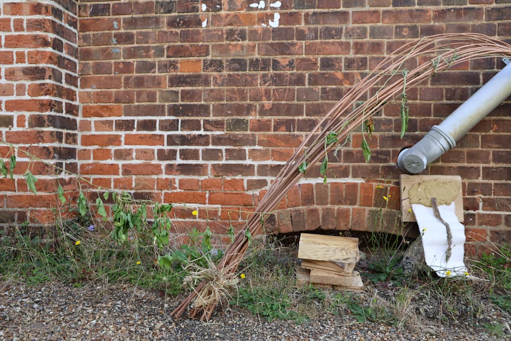 The Summer Project — View 5 — Jay Lee