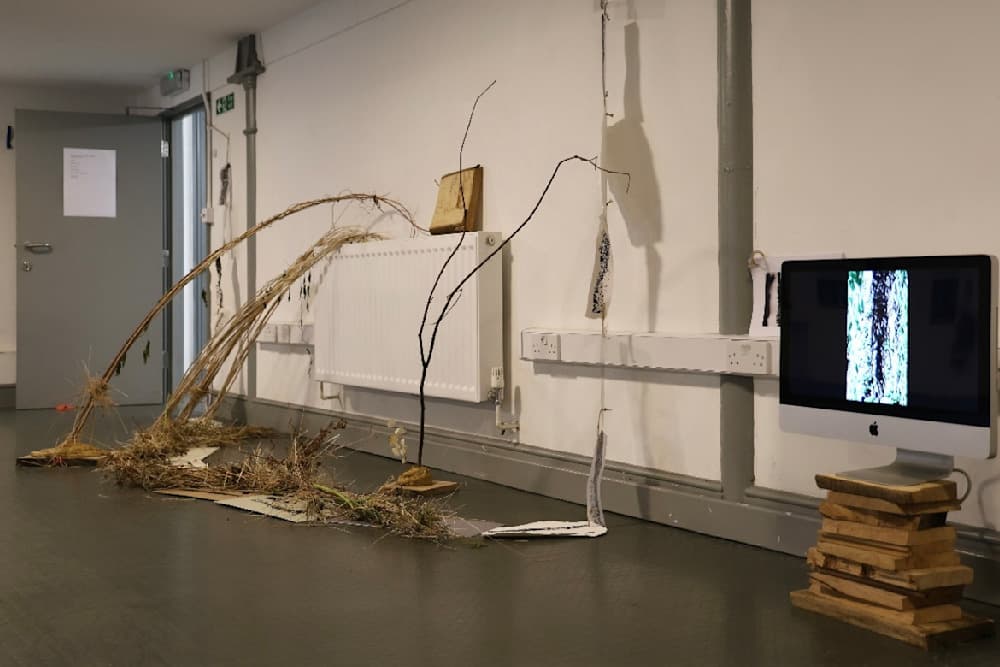 The Summer Project — View 18 — Jay Lee