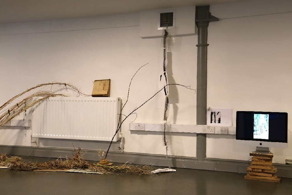 The Summer Project — View 19 — Jay Lee