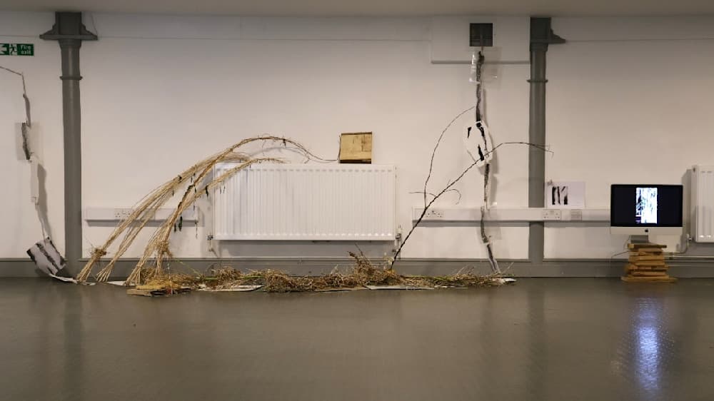 The Summer Project — View 16 — Jay Lee