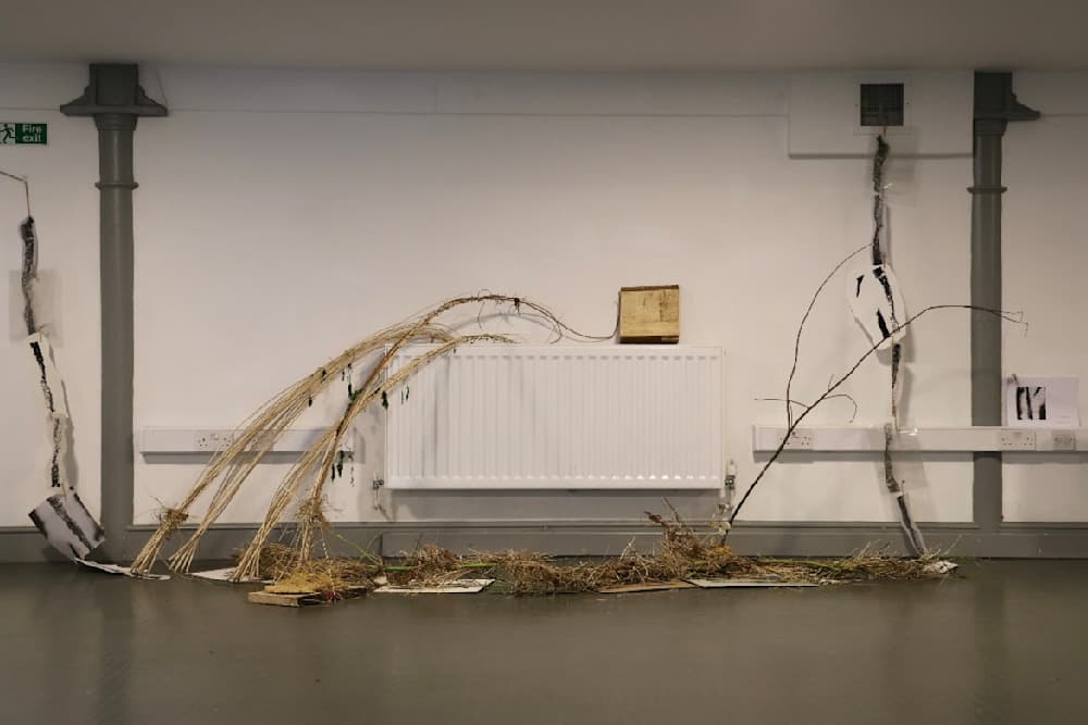 The Summer Project — View 17 — Jay Lee