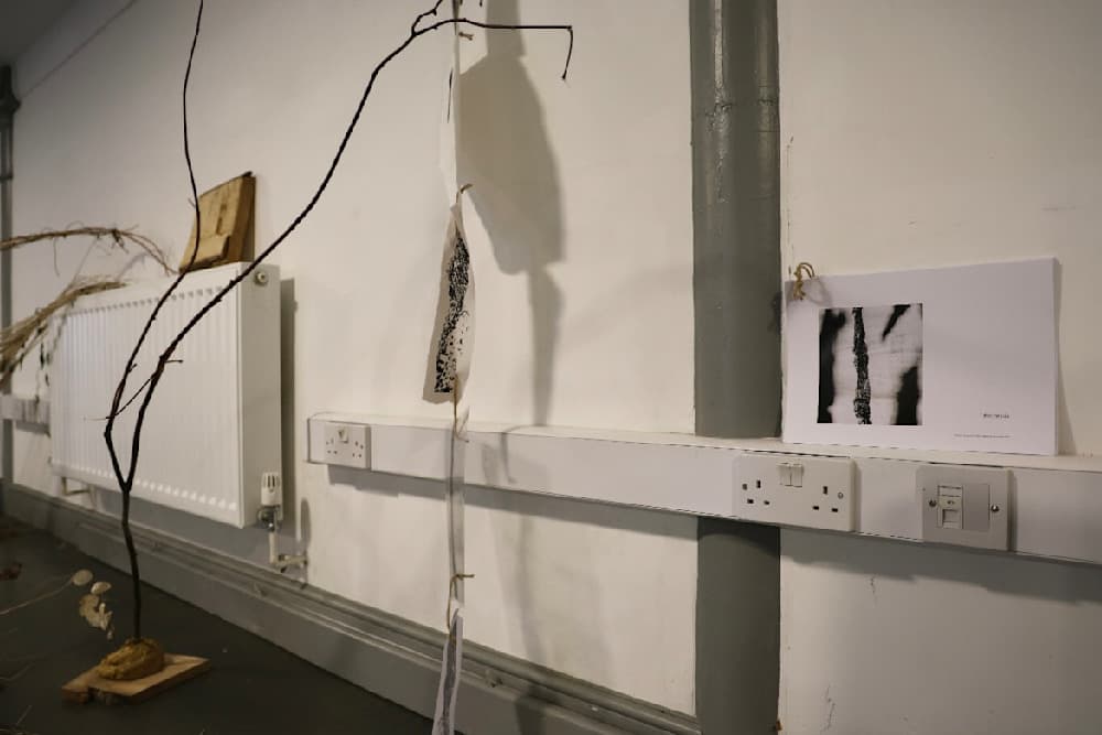 The Summer Project — View 20 — Jay Lee