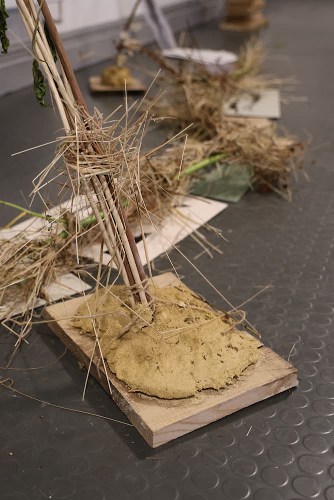 The Summer Project — View 27 — Jay Lee