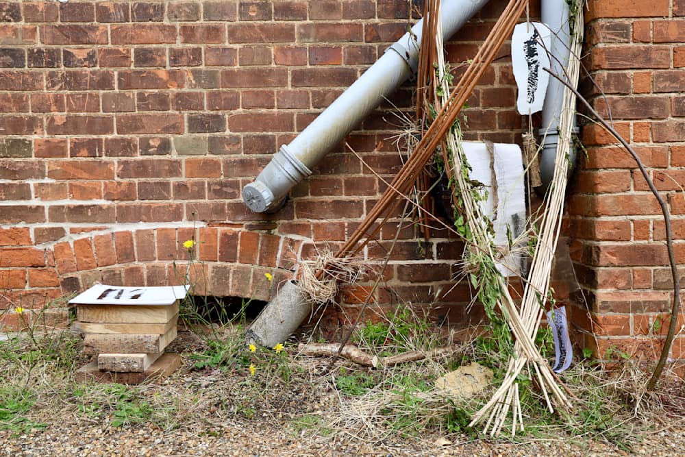 The Summer Project — View 34 — Jay Lee