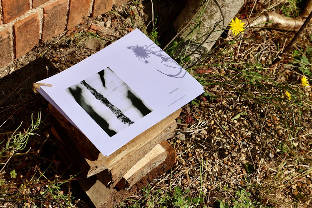 The Summer Project — View 33 — Jay Lee