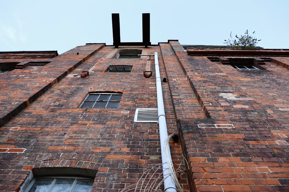 The Summer Project — View 36 — Jay Lee