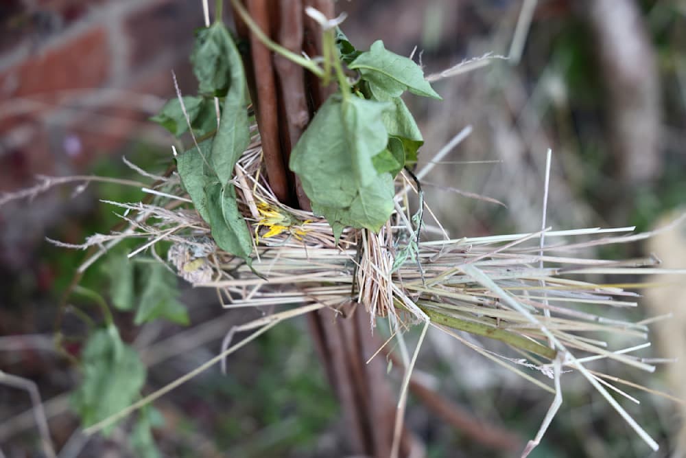 The Summer Project — View 48 — Jay Lee