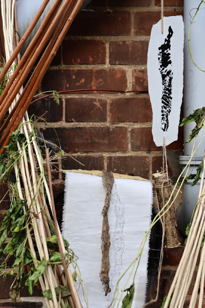 The Summer Project — View 38 — Jay Lee