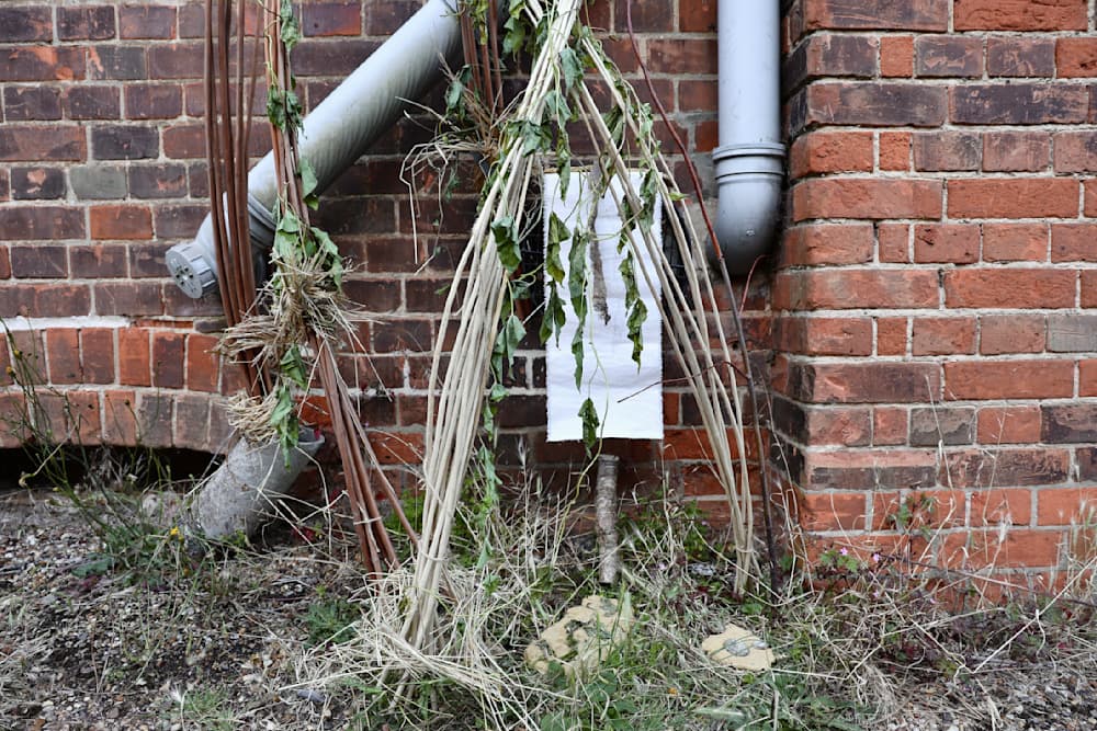 The Summer Project — View 41 — Jay Lee