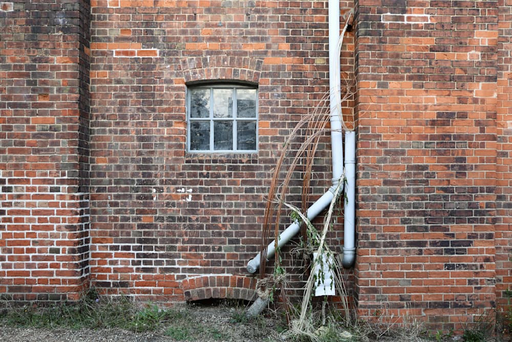 The Summer Project — View 37 — Jay Lee