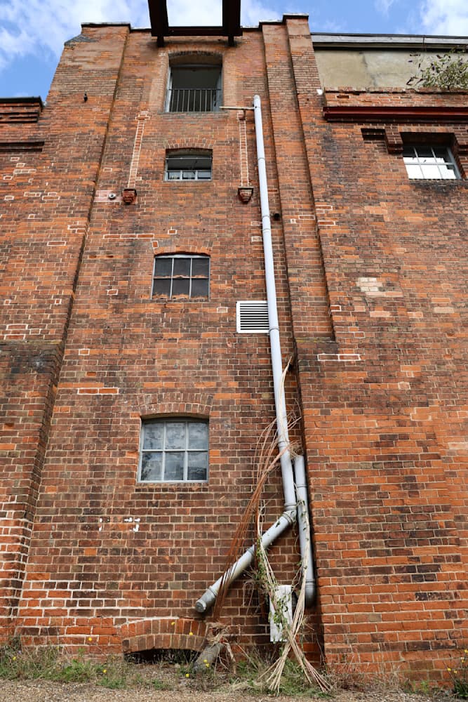 The Summer Project — View 35 — Jay Lee