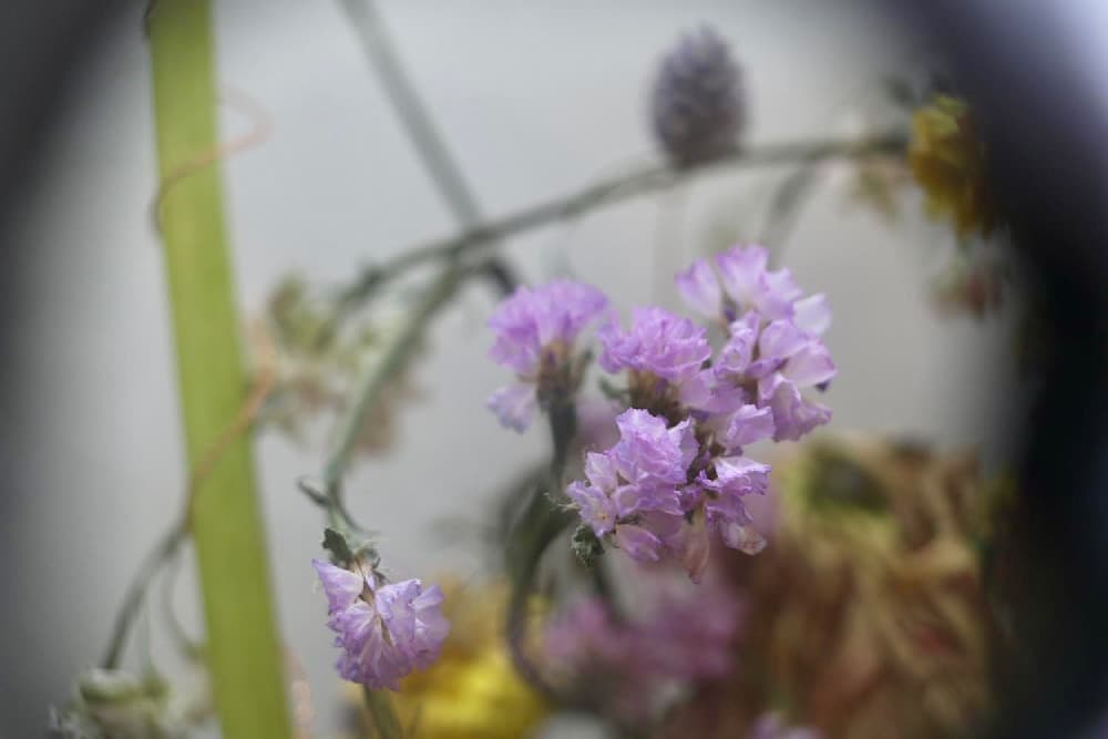 The Last Bloom — View 10 — Jay Lee