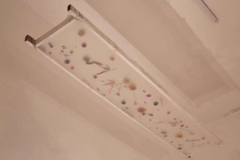 Ordinary, Daring — View 13 — Jay Lee