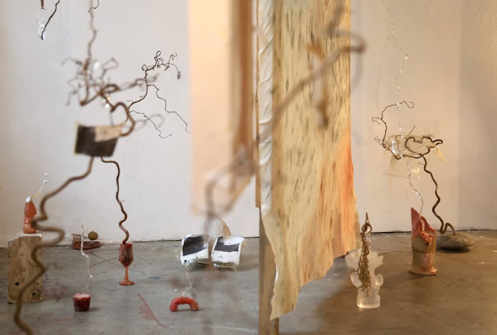 Ordinary, Daring — View 9 — Jay Lee