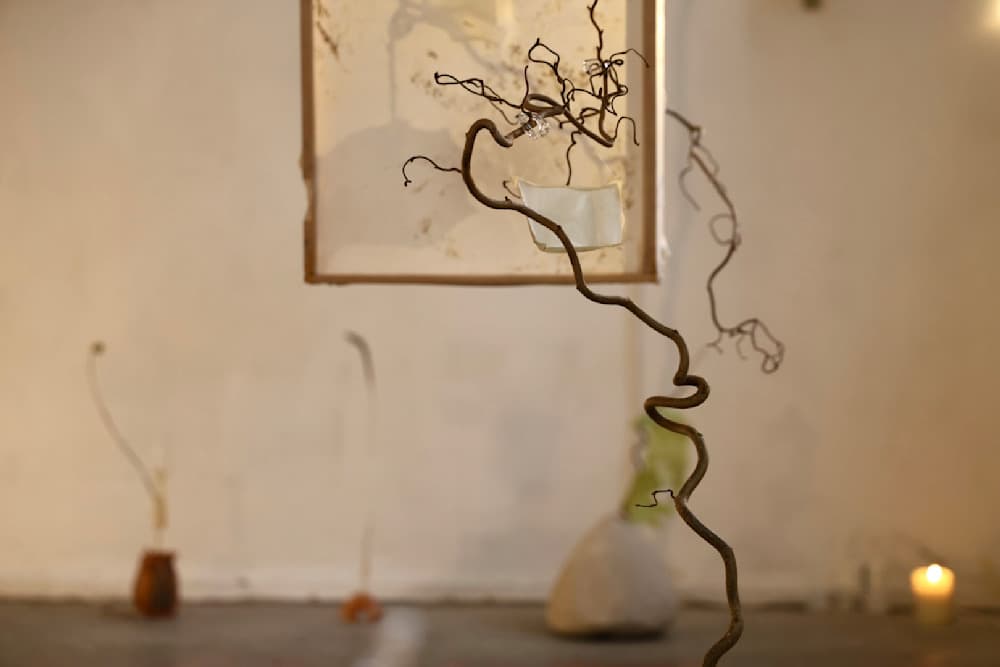 Ordinary, Daring — View 11 — Jay Lee