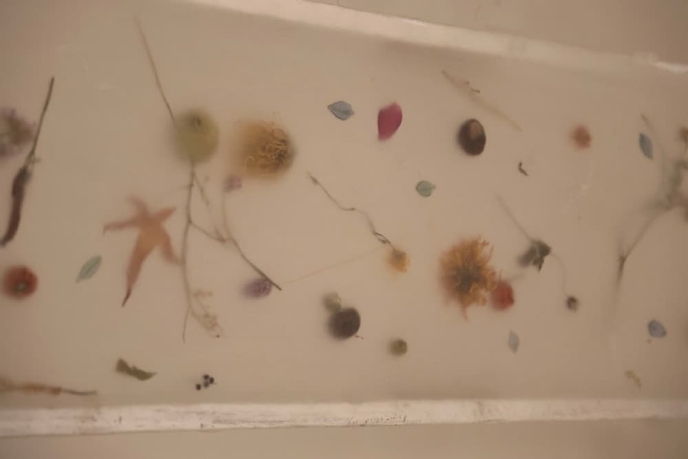 Ordinary, Daring — View 14 — Jay Lee