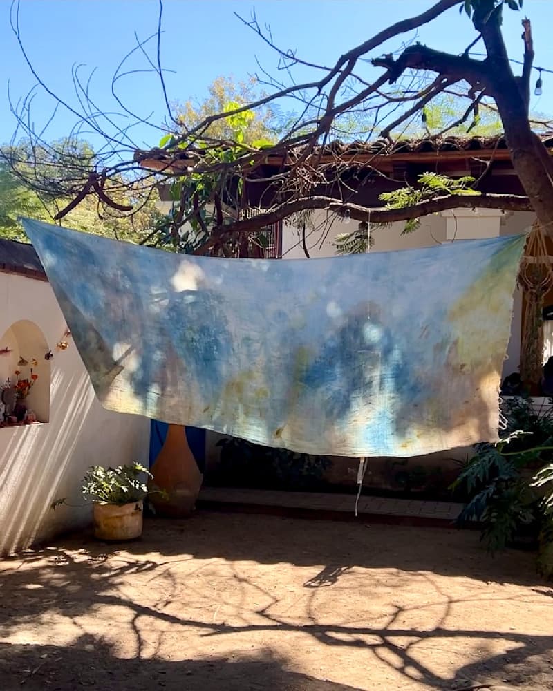 Oaxaca Dreams — View 2 — Jay Lee