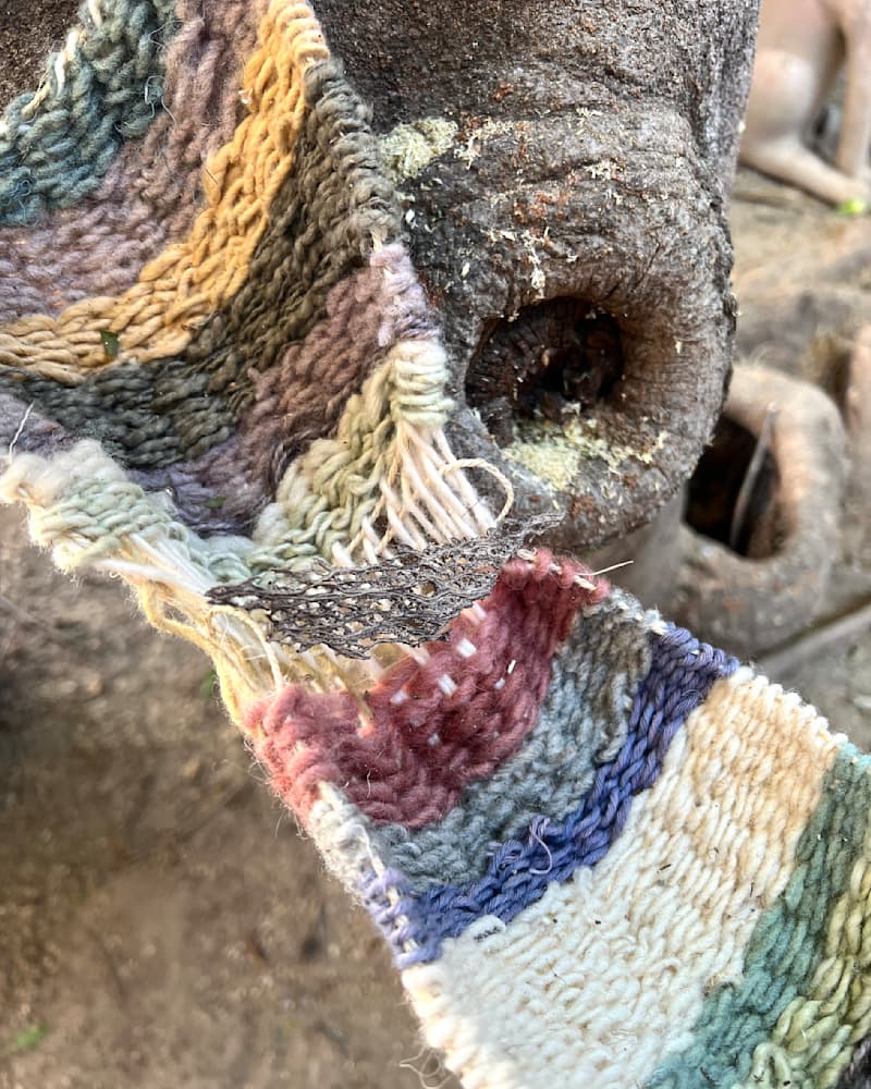 Oaxaca Dreams — View 12 — Jay Lee