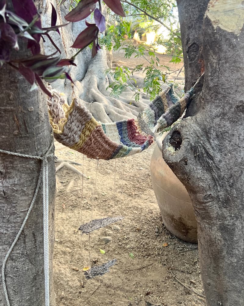 Oaxaca Dreams — View 10 — Jay Lee