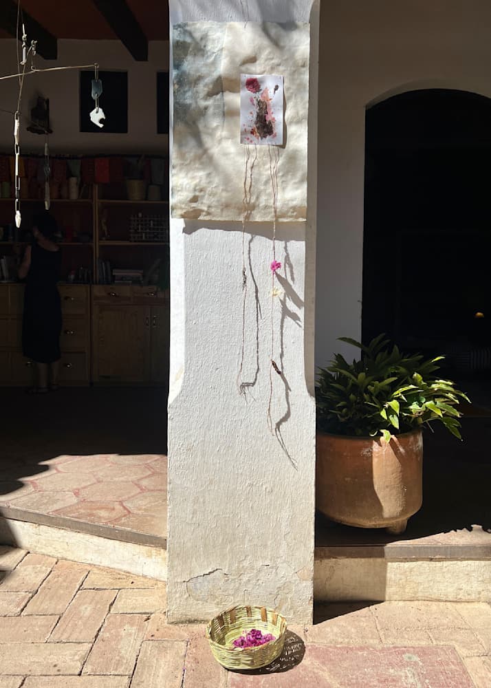 Oaxaca Dreams — View 13 — Jay Lee