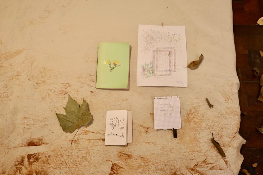 Hacer un Bosque (Making a Forest) — View 39 — Jay Lee