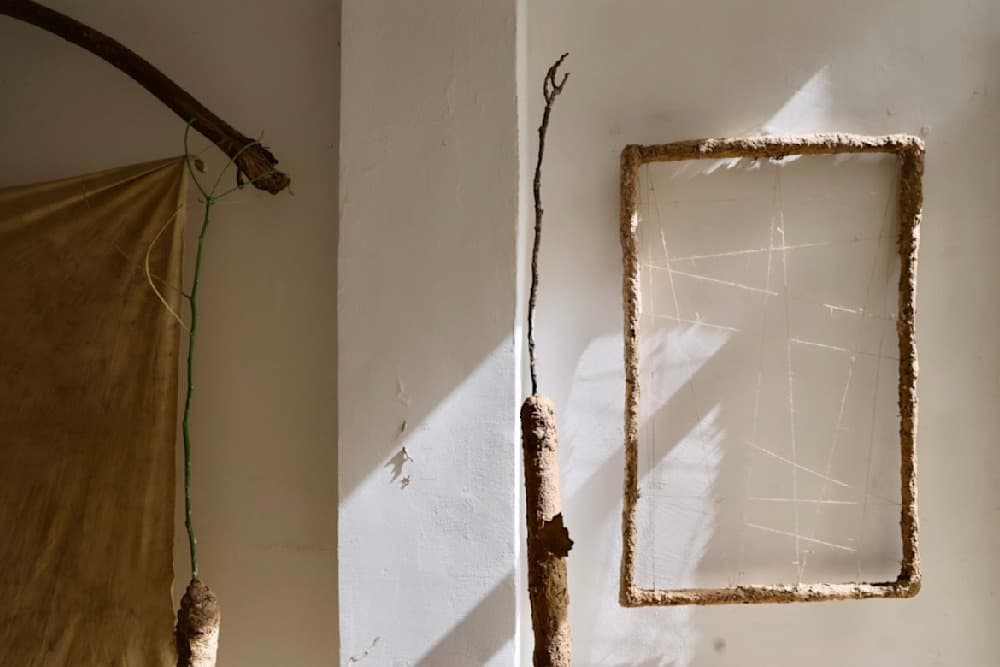 Hacer un Bosque (Making a Forest) — View 7 — Jay Lee