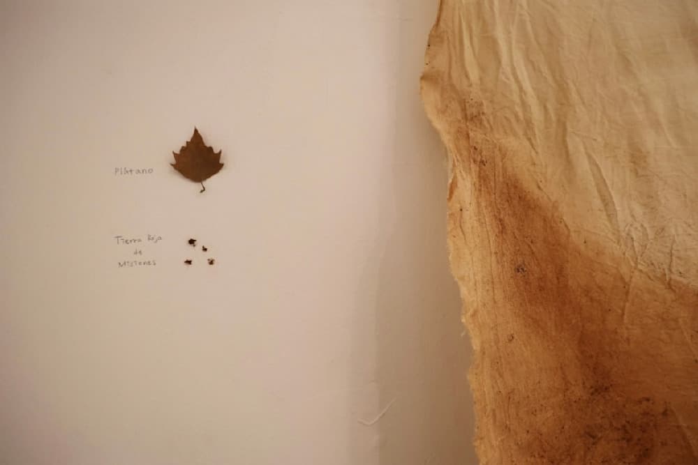 Hacer un Bosque (Making a Forest) — View 32 — Jay Lee