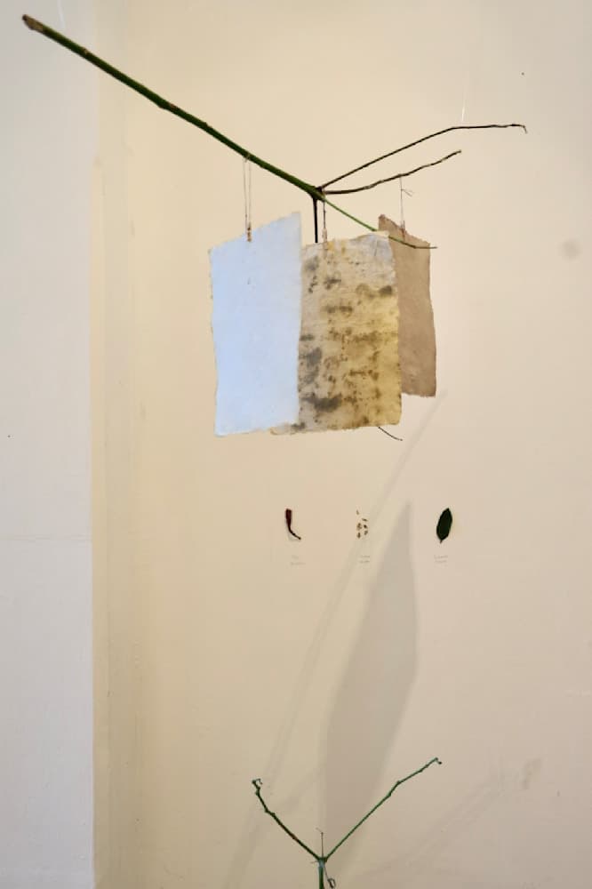 Hacer un Bosque (Making a Forest) — View 14 — Jay Lee