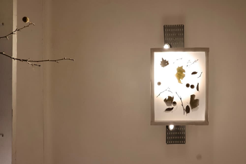 Hacer un Bosque (Making a Forest) — View 34 — Jay Lee