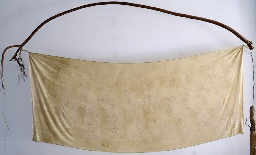 Hacer un Bosque (Making a Forest) — View 8 — Jay Lee